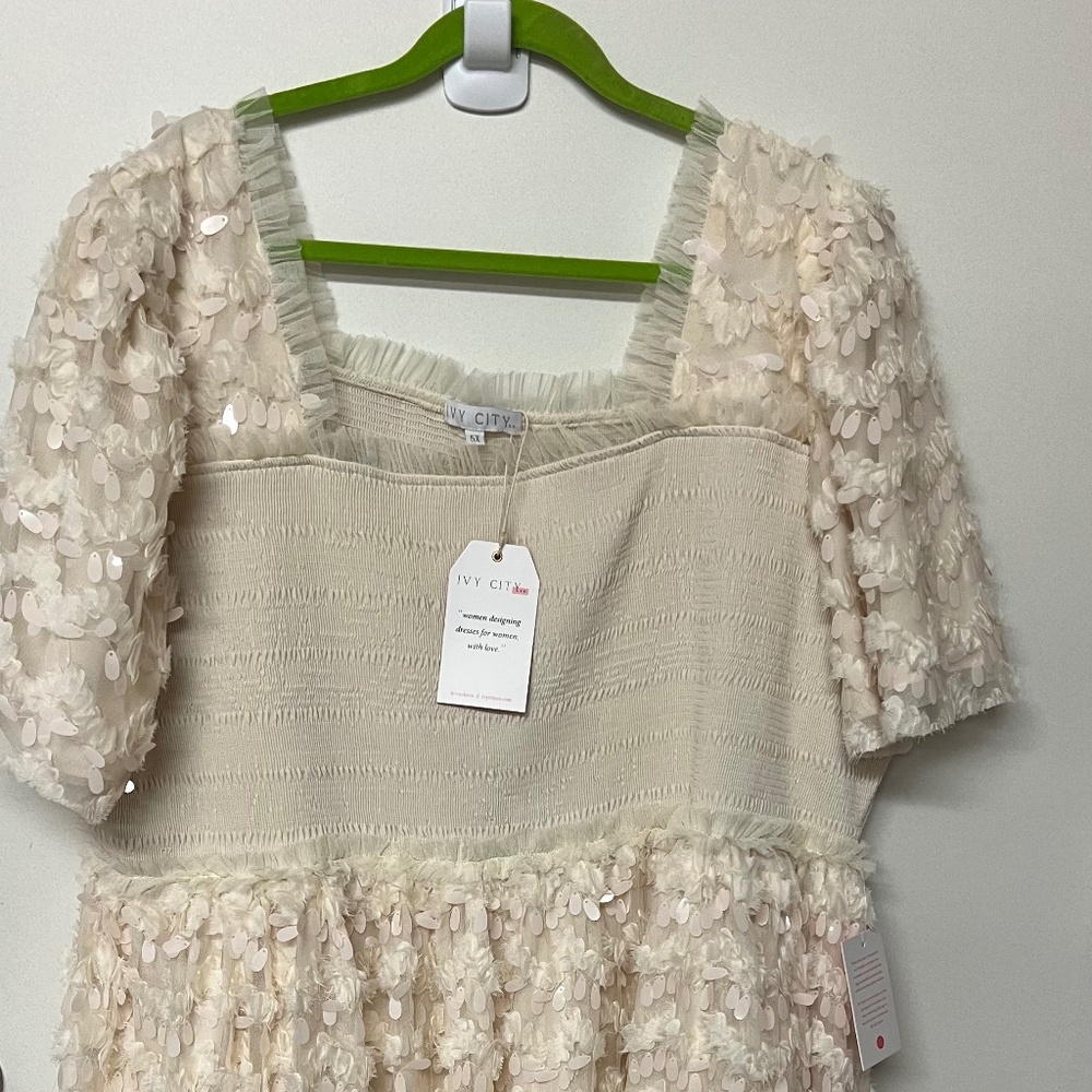 Ivy City Lined Fancy Beige Dress NWT, size 5X